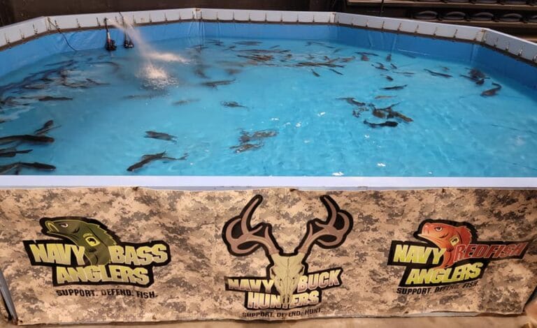 Fish Tanks 5